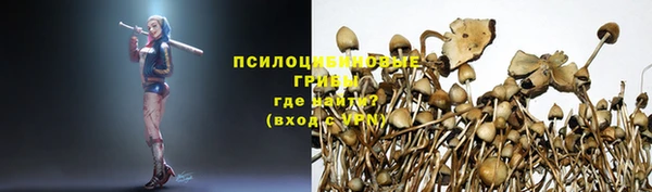 крисы Арсеньев