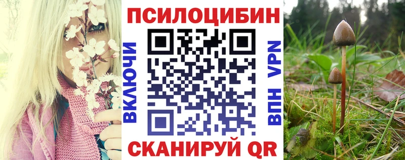 hydra как войти  Магадан  Псилоцибиновые грибы GOLDEN TEACHER 